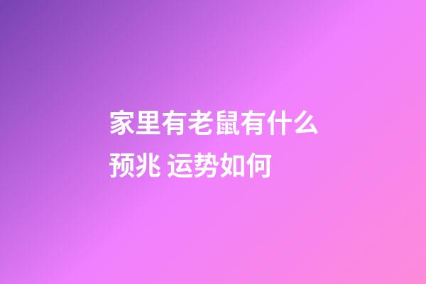 家里有老鼠有什么预兆 运势如何